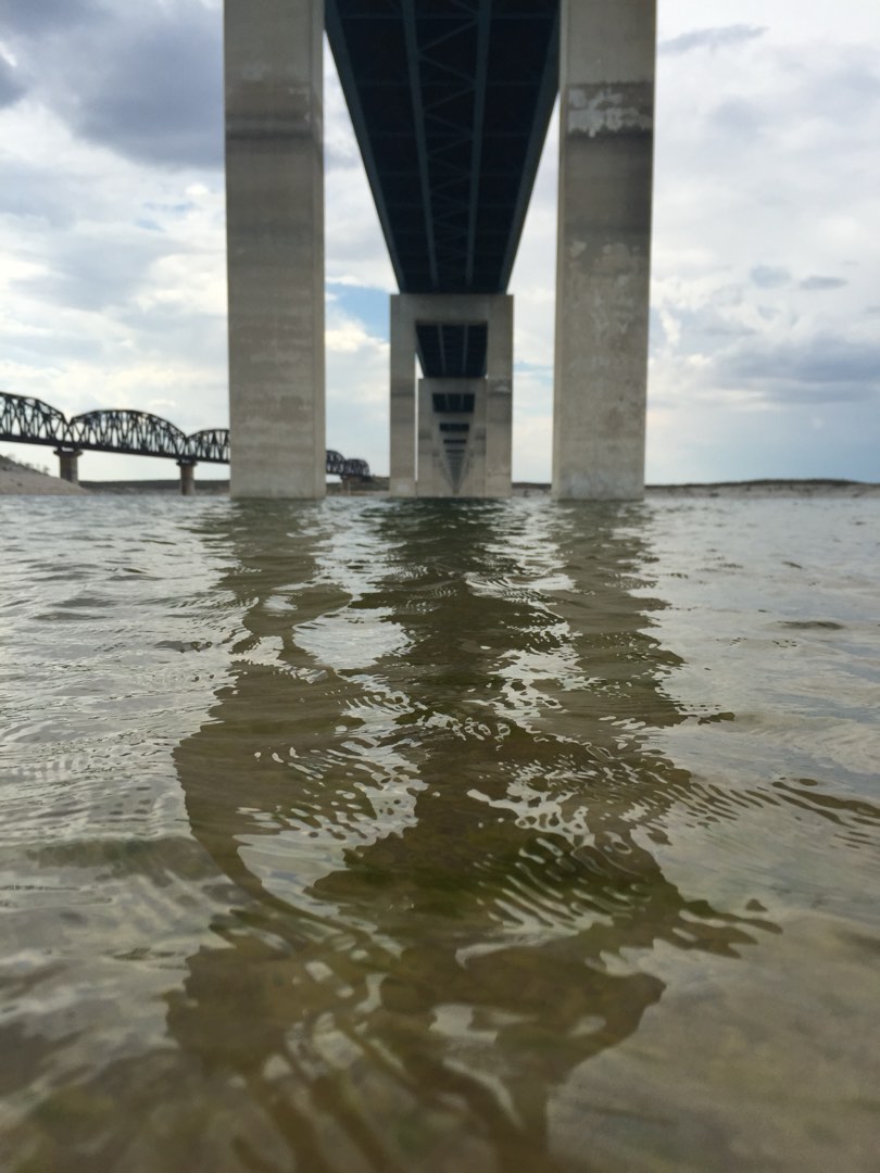 Taken from a boat on the water, the image shows the underbelly of a bridge and the supports.