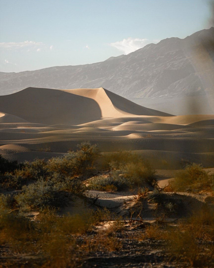 Low, warm light skims across pale sand dunes.