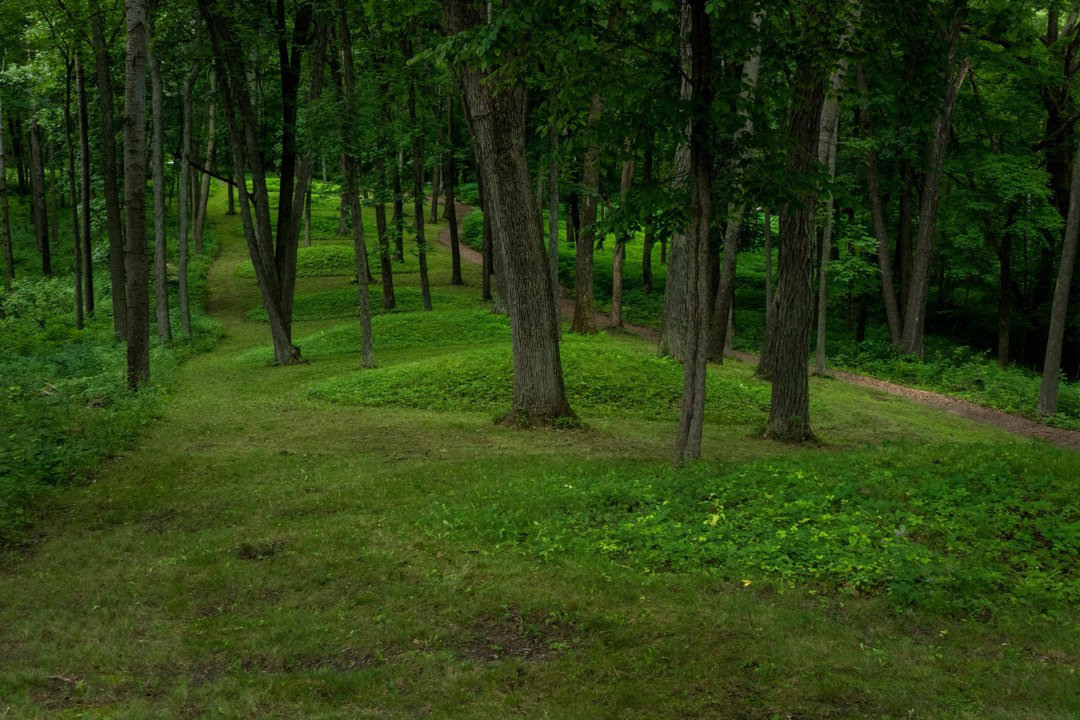 Circular mounds in a single line.