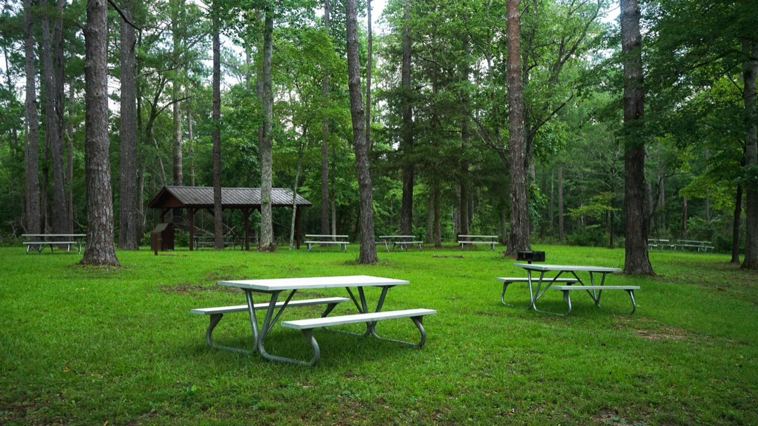 picnic tables, pavilion, and wayside exhibit in main picnic area