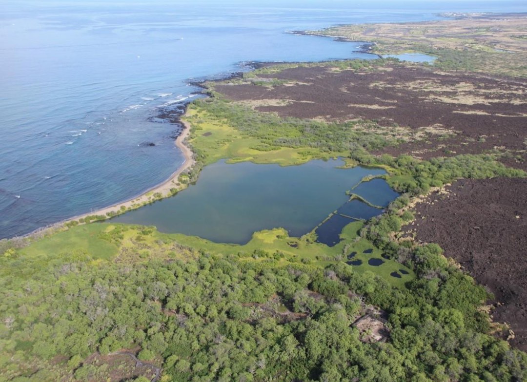 Aerial view of fishpond
