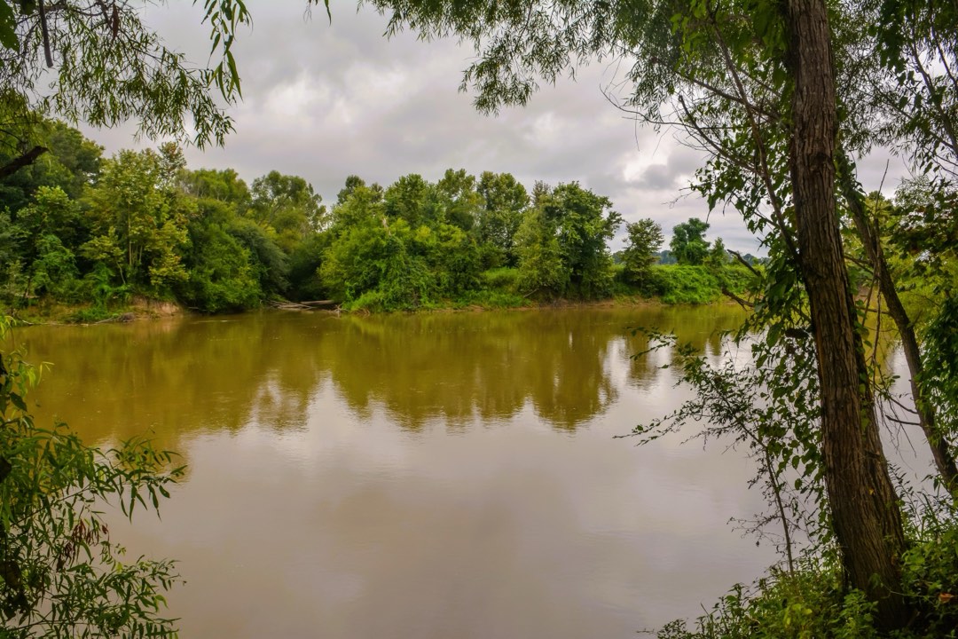 a muddy river with trees on both sides of the riverbank